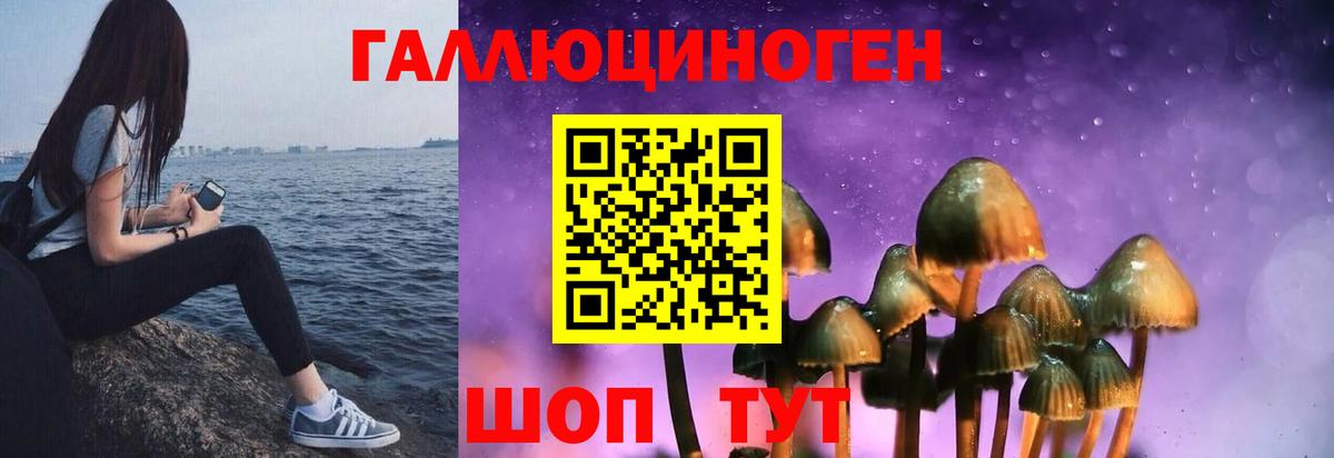 Нефтеюганск  Псилоцибиновые грибы Psilocybe  Псилоцибиновые грибы GOLDEN TEACHER  Вход с VPN 